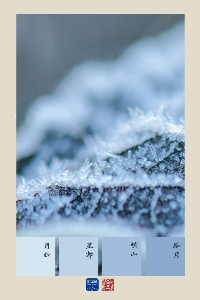 国宝画重点丨小雪节气和____最配？