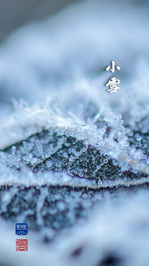 国宝画重点丨小雪节气和____最配？
