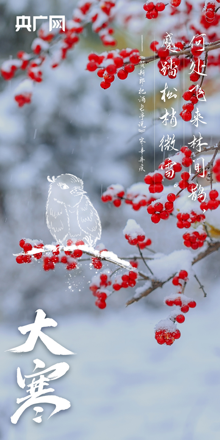 今日大寒丨年味渐浓，春将至