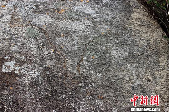 福建东山发现18处岩画 或揭两岸陆路相连“史前密码”