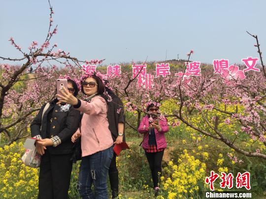 图为海峡两岸婆媳在桃花树下合影留念。　林波 摄