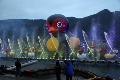 花莲“红面鸭”重出江湖 增水舞灯光秀