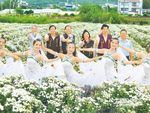 苗栗铜锣乡举办杭菊节邀游客一饱眼福（图）